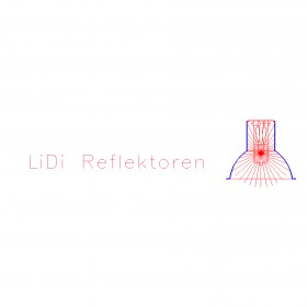 Logo1Lidi